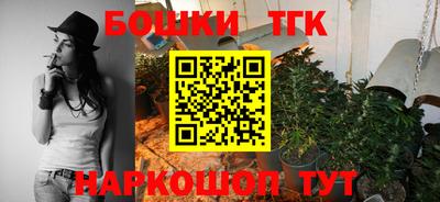 индика Партизанск