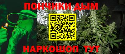 индика Партизанск