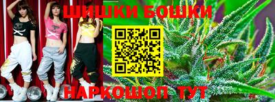 индика Партизанск