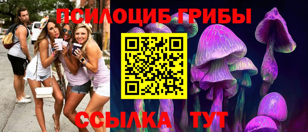 Галлюциногенные грибы ЛСД  Галлюциногенные грибы Cubensis  Вход с VPN  Амурск 
